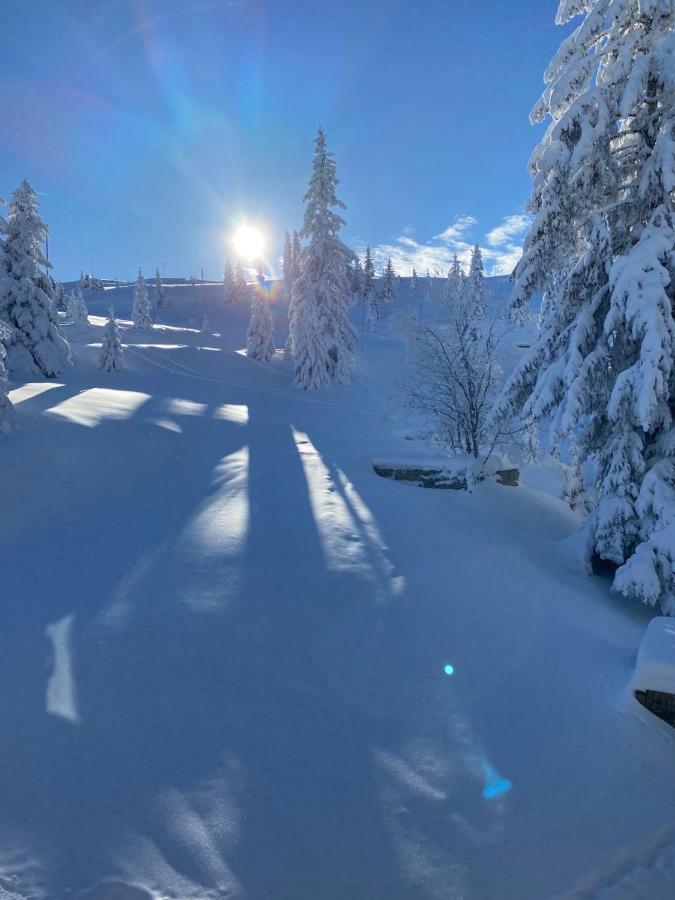 Olimpik House Jahorina Villa Buitenkant foto