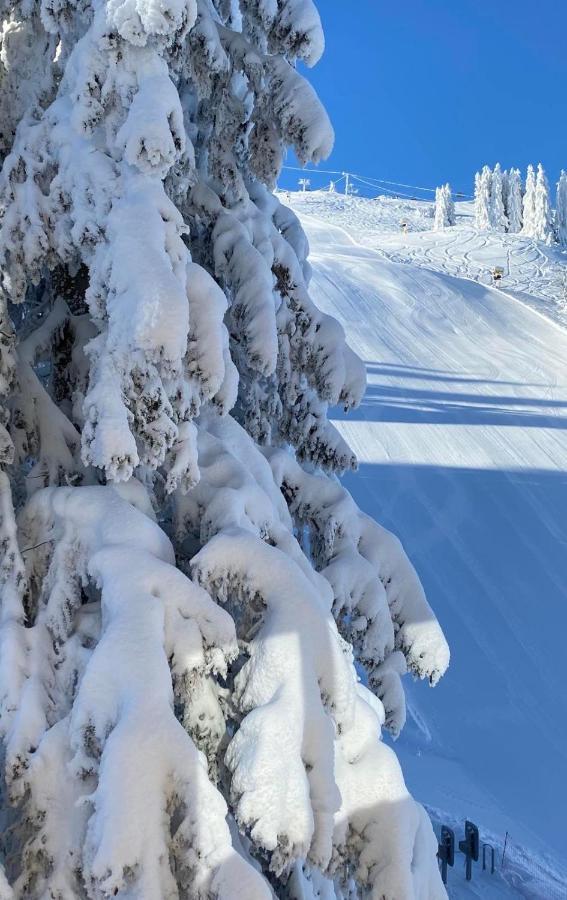 Olimpik House Jahorina Villa Buitenkant foto